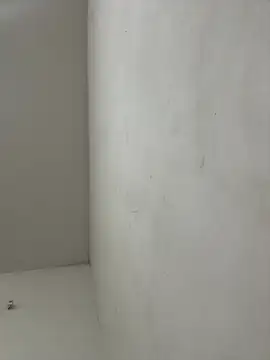 brunolorran6969's cam snapshot