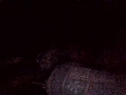 FuckkkStarrr live sex cam