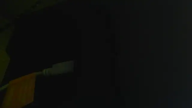 joypastr's cam snapshot