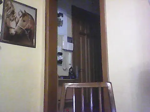 Vlastelina's cam snapshot