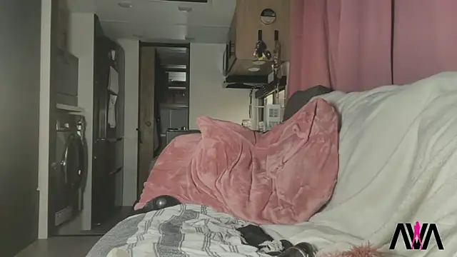 ava_west's cam snapshot