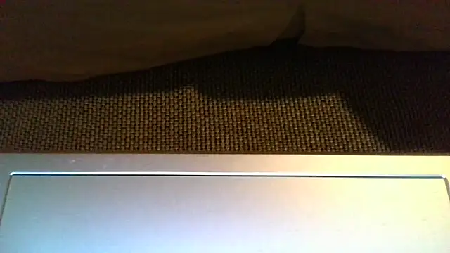 Boddman's cam snapshot