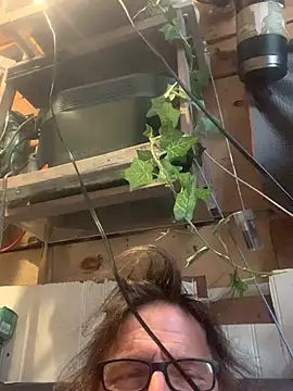 Likewise's cam snapshot