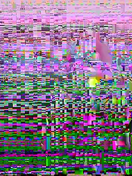 SOL__EF's cam snapshot