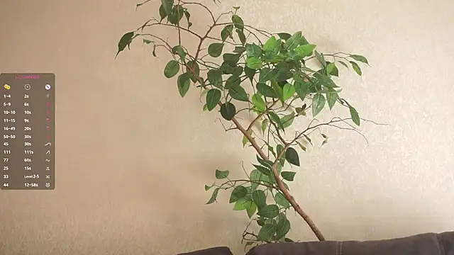 OnaMac's cam snapshot