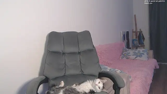 Kisi_misi's cam snapshot