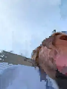 secretknight_Mrmask's cam snapshot