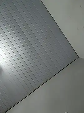 manueladantass1's cam snapshot