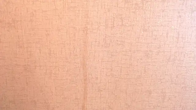 Siena_fox's cam snapshot