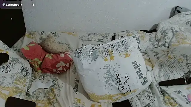 Lindibran's cam snapshot