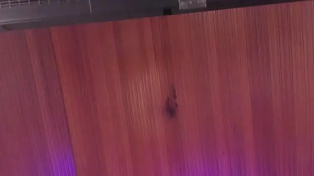 _Kailythompson's cam snapshot