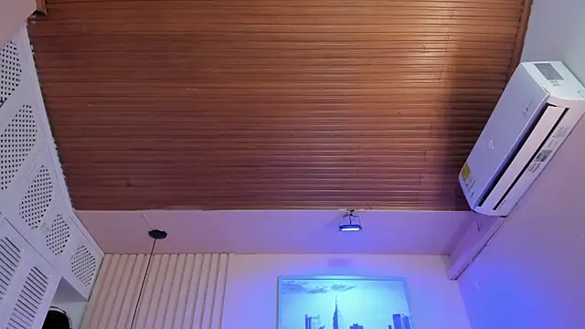 viiolett_lee live sex cam