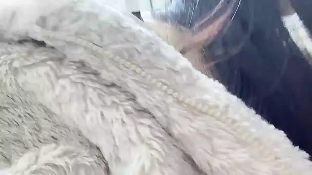 LinhChi_9x's cam snapshot