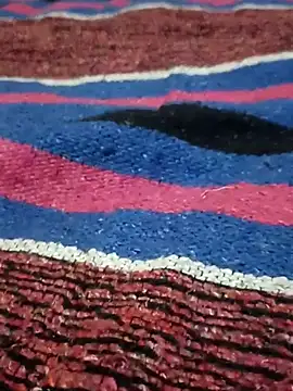 8133vaibhavh's cam snapshot