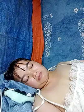 Noelle-e's cam snapshot