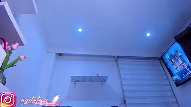 anitatoro_0's cam snapshot