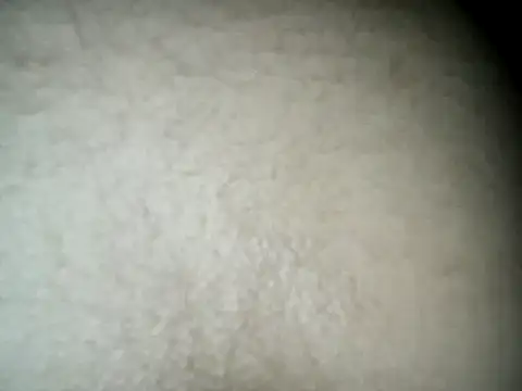 steffandjoshh420 live sex cam