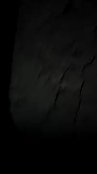 mendelicius live sex cam