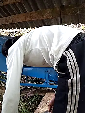 Hoa-tuylip's cam snapshot