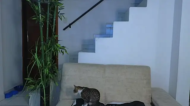 Lorenne_Miller's cam snapshot