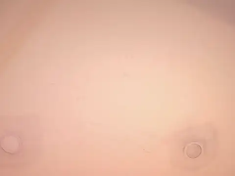 tachala_ live sex cam