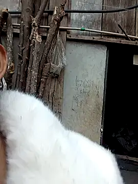 Girl_cutee's cam snapshot