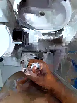 Carlosszz123 live sex cam