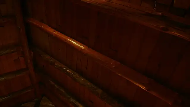 Laurensex4's cam snapshot