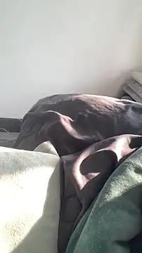 zhizhinaigai's cam snapshot