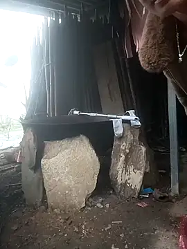 cutebobi's cam snapshot