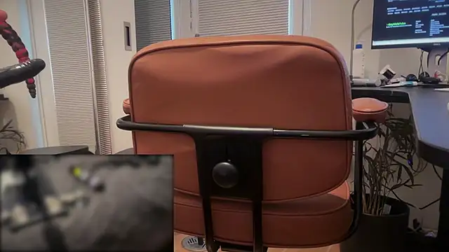 bulge_boy live sex cam