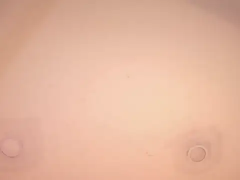 tachala_ live sex cam