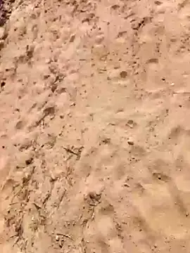 xmanrawan2 live sex cam