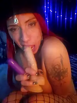 Paradice7's cam snapshot