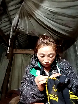 seacyre's cam snapshot