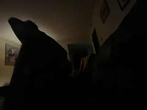 Bigdicktrick227 live sex cam