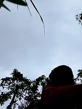 Jyoti_sekh live sex cam