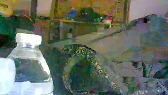 ON3YOULLN3VER_FIR3 live sex cam