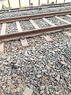 VadodaraBBC's cam snapshot