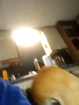 zaneporter46 live sex cam