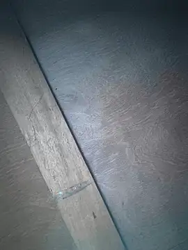 Srmotrs live sex cam