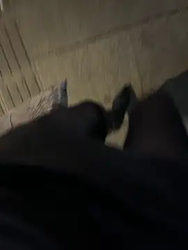 petoys's cam snapshot