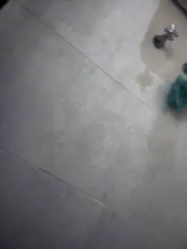 BellaViceXXX's cam snapshot