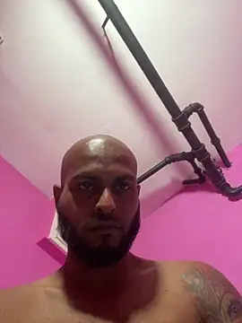 islandvybee55 live sex cam