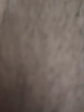 KingCobraClassy live sex cam