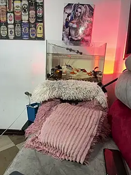 CRAZY-BOY99 live sex cam