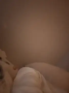 bruna_safadinhaa live sex cam