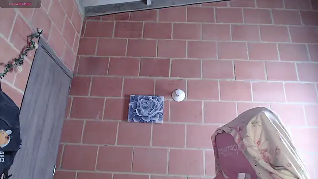 Andrea_camilaaa live sex cam