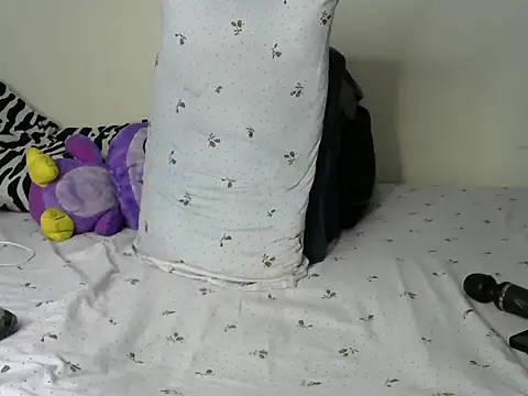 Salliet's cam snapshot