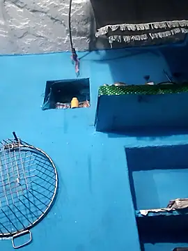 Akanksha_soni live sex cam